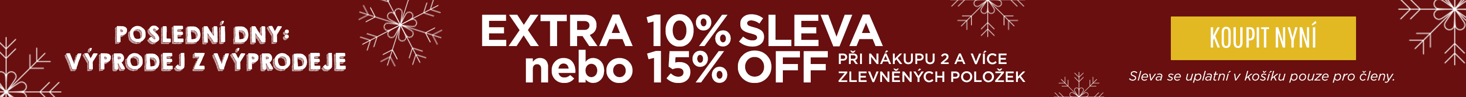 Winter Sale Skinny Banner UPGRADE North/UK